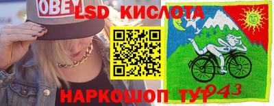 крисы Тулун