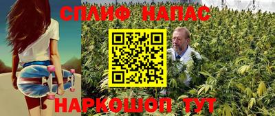 крисы Тулун