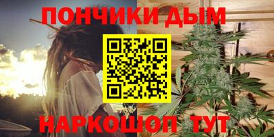 крисы Тулун