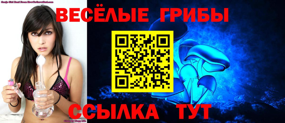 Псилоцибиновые грибы MAGIC MUSHROOMS Богородск