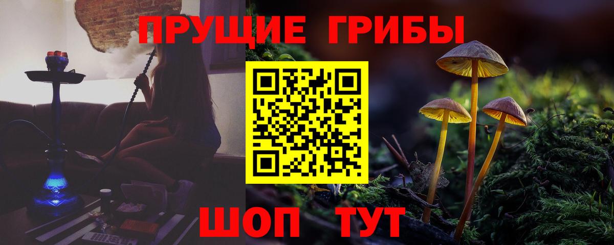 Галлюциногенные грибы прущие грибы  Галлюциногенные грибы GOLDEN TEACHER  Вход с VPN  Богородск 